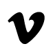 Vimeo Icon